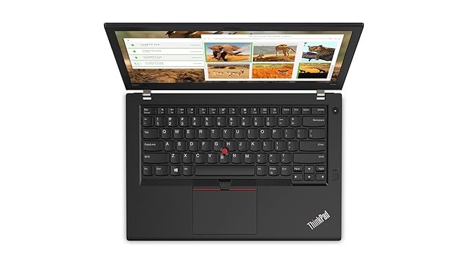 Lenovo Thinkpad T480